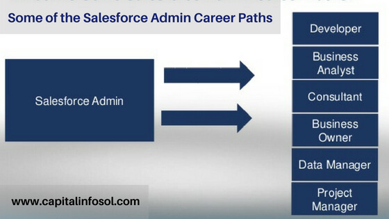 Salesforce admin & developer